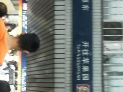 -大望路(地铁站)