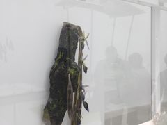 -康宁玻璃博物馆
