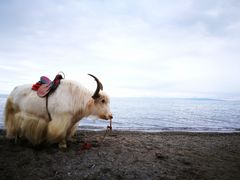 -青海湖国家重点风景名胜区