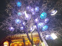 -半天妖烤鱼(紫荆广场店)
