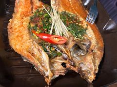 -雀舞云南菜(天津天河城购物中心店)