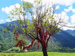 -硗碛藏寨·神木垒景区
