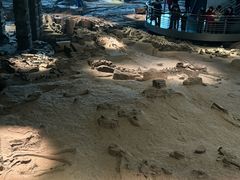 -自贡恐龙博物馆