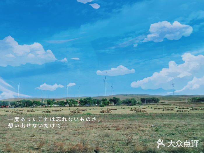 希拉穆仁草原图片