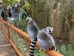 -北京野生动物园