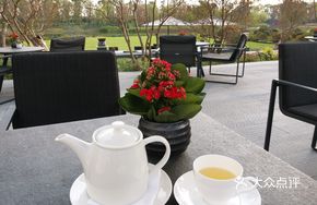 Highland Oolong