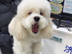 -心仪动物医院·牙专科·肿瘤·心脏科(西客站院)