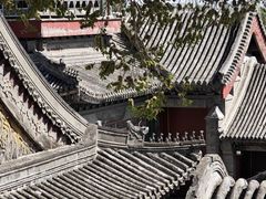 -颐和园
