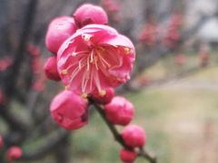 -山东大学(趵突泉校区)