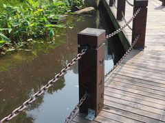 -重庆彩云湖湿地公园