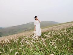 -恋山坝上草原
