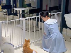 -怪兽屋·羊驼·猫咖·狗咖(俊华广场店)