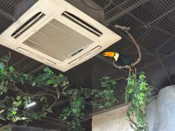 -Zoolung Zoolung动物主题公园(海信广场店)