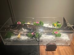 -逸道(益丰·外滩源店)