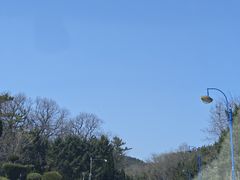 -棒棰岛宾馆景区