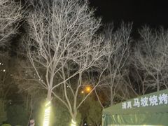 -清真·马坡烧烤涮牛肚·酸浆火锅(新区总店)