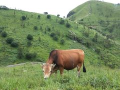 -萍乡武功山风景名胜区