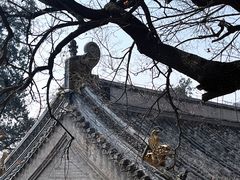 -潭柘寺景区