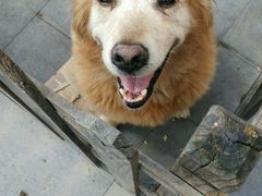 -喵宠乐园·撸猫互动·猫舍