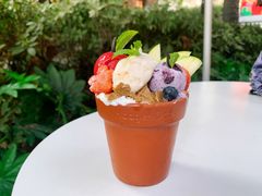 哈根达斯掌心花园冰淇淋球-哈根达斯(武汉天地店)