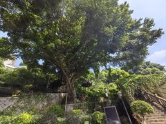 -乌山风景区