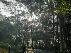-白云山风景名胜区