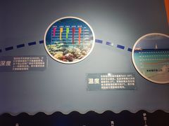 -石家庄海洋公园