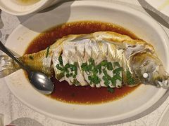 -金美华轩(东方路齐鲁店)