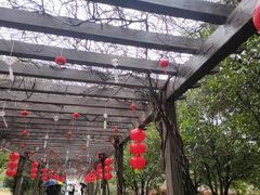 -白马涧龙池景区