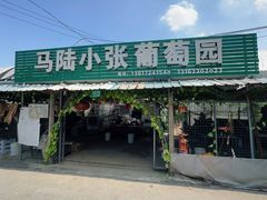 -马陆小张葡萄园农家乐