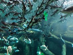 -波塞冬旅游度假区