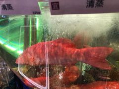 -陶陶居海鲜酒家(新马路店)