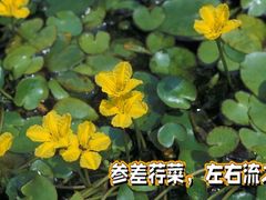 -陕西省西安植物园