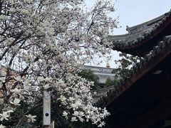 -龙华寺