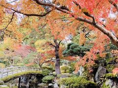 -京都御所