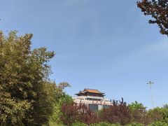 -莲花池公园