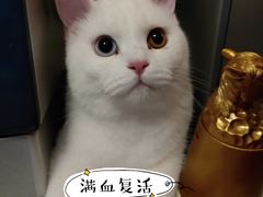 -康乐宝动物医院