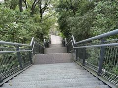 -佛山华盖山公园