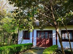 -上海佘山国家森林公园天马山园