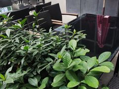 -KAOTOWN烤堂•烧烤(海汇港店)