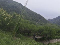 -阳台山自然风景区
