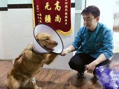-甄爱宠物医院(疏影路店)