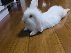 -西部酒城