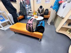 -申普宠物医院·心脏介入·心血管微创(总院)