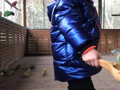 -黄龙溪欢乐田园