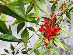 -浙东革命根据地纪念馆