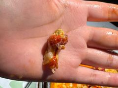 -巴厘龙虾·榜首油焖大虾(洞庭·艺术洋房店)