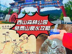 -北京西山国家森林公园