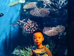-暹罗海洋世界