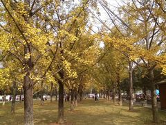 -百林公园-两江幸福广场
